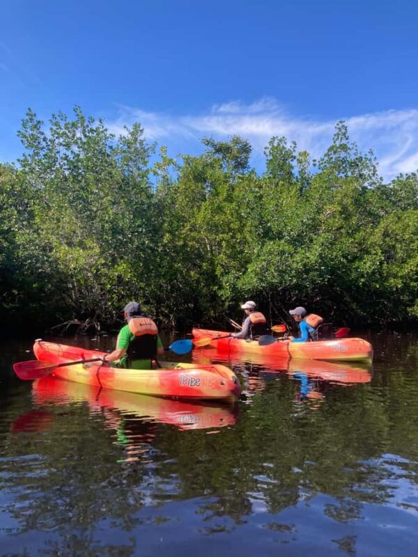 Miami: Everglades National Park Kayaking & Hiking Tour - An In-Depth Look at the Tour Experience