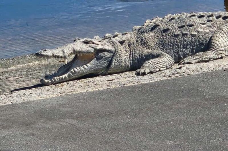 Miami: Everglades National Park Kayaking & Hiking Tour - Who Will Love This Tour?