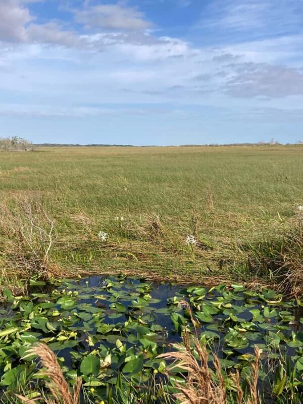 Miami: Everglades National Park Kayaking & Hiking Tour - FAQ