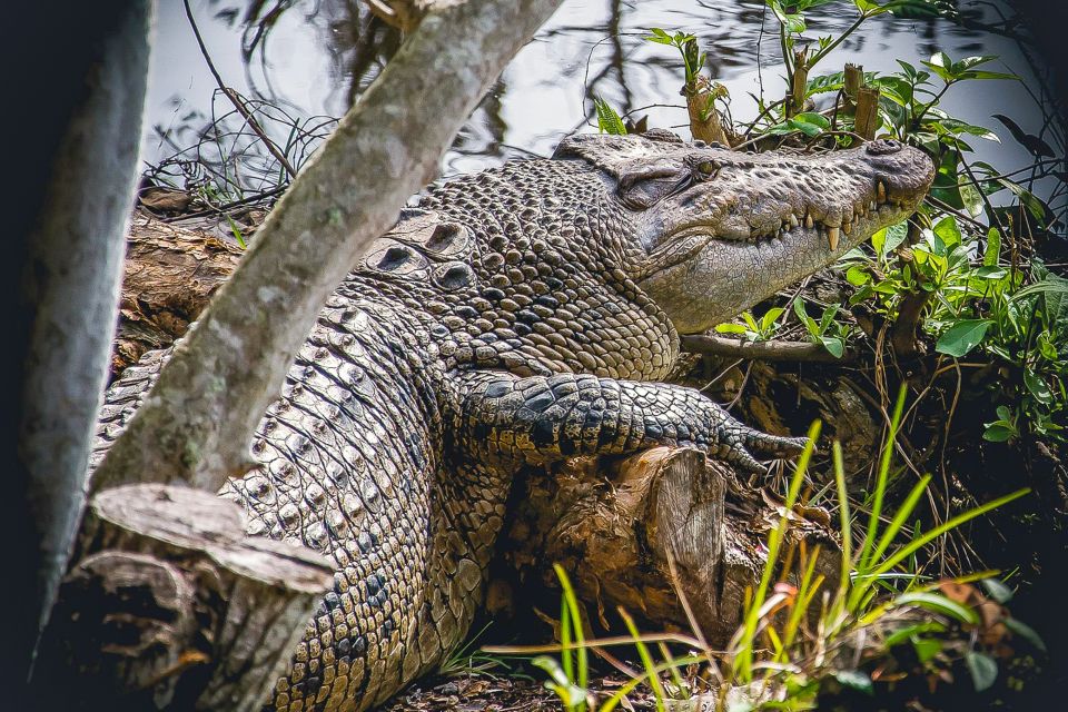 Miami: Everglades Safari Park Airboat Tour - Important Information