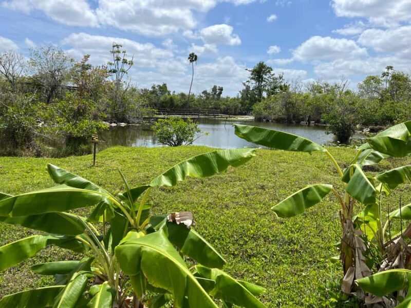 Miami: Everglades Small Group Tour in French - The Experience in Detail: Breaking Down the Itinerary