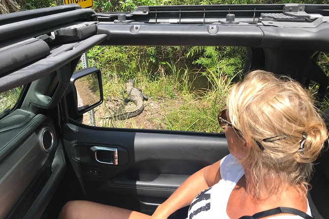 Miami & Florida Everglades Adventure Package - Traveler Reviews and Feedback