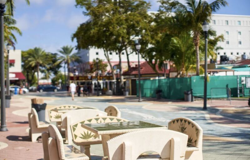 Miami From Fort Lauderdale Premium Driving Tour with Cruise - Who Is This Tour Best Suited For?