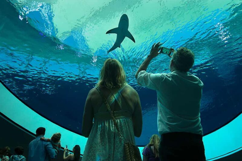 Miami: Frost Museum of Science and Planetarium Entry Ticket - A Balanced Look at the Frost Museum Experience