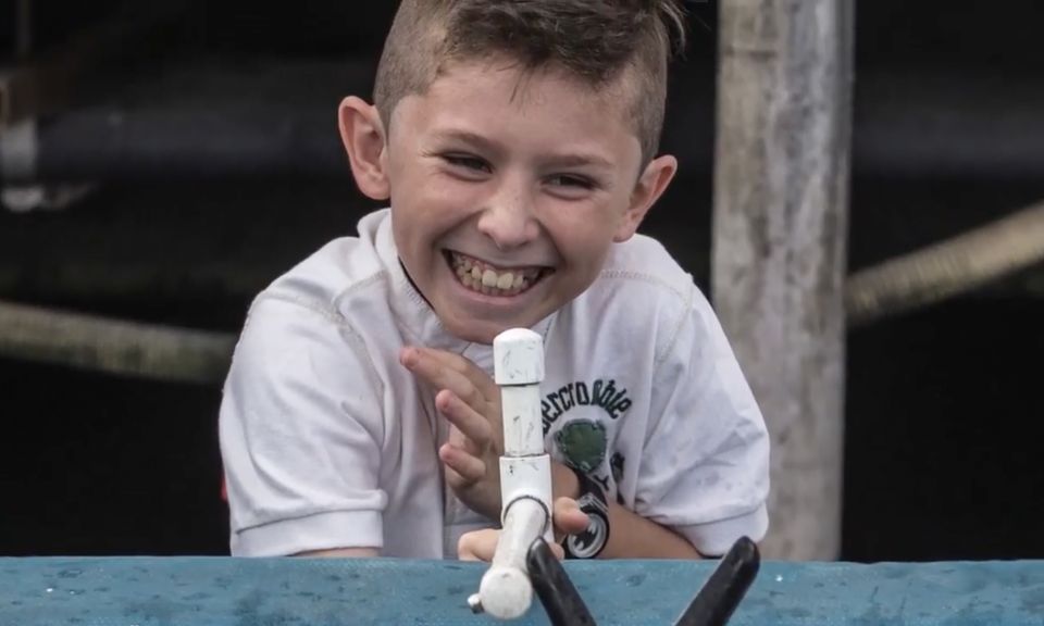 Miami: Giant Fish Feeding Experience - Key Points