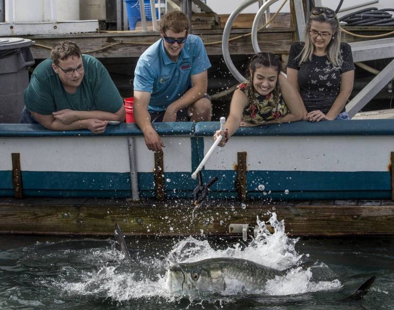Miami: Giant Fish Feeding Experience - Hand-Feeding the Tarpon