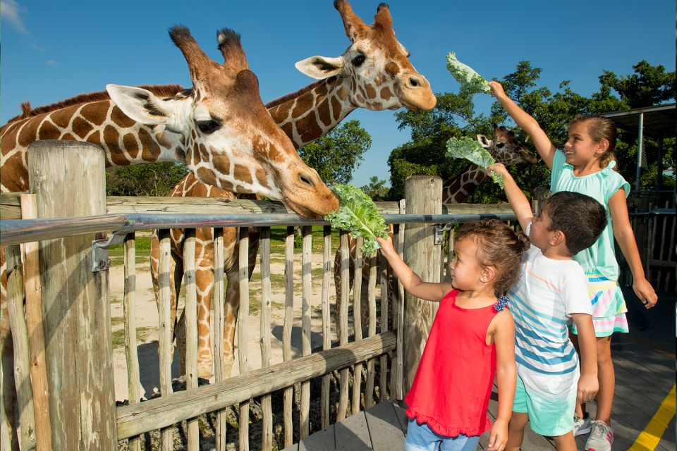 Miami: Go City All-Inclusive Pass With 30+ Attractions - Pass Validity Information