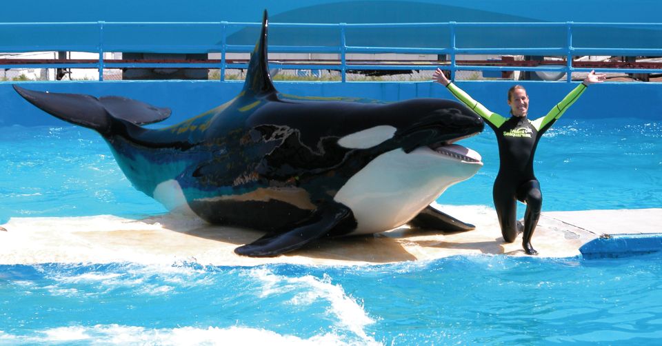 Miami: Go City All-Inclusive Pass With 30+ Attractions - Attractions & Tours Update Info