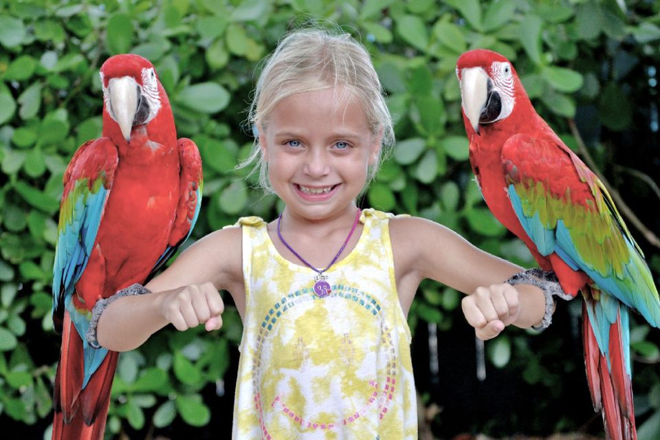 Miami: Go City All-Inclusive Pass With 30+ Attractions - Top Attractions in the Miami Area