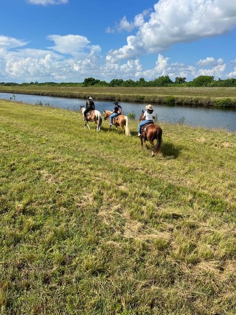 Miami: Guided Horseback Riding Tour - Practical Tips for Participants