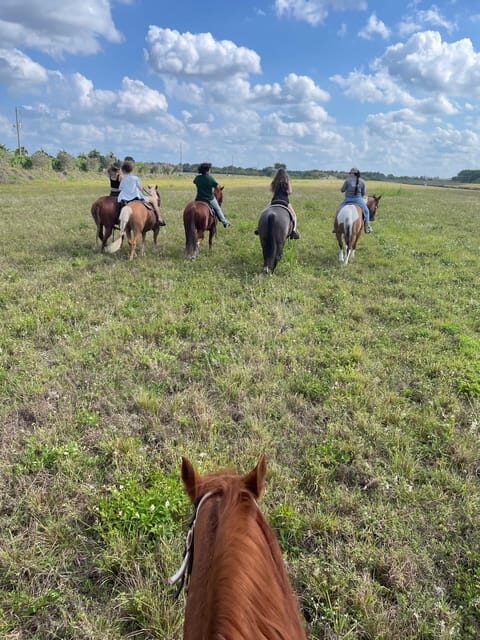 Miami: Guided Horseback Riding Tour - The Sum Up