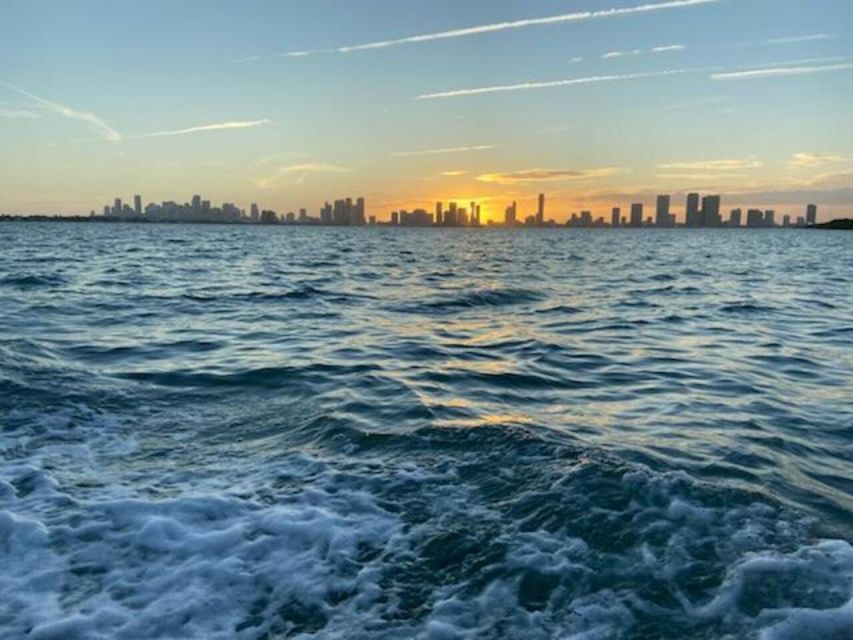 Miami: Guided Miami Beach Speedboat Tour - Wildlife Spotting
