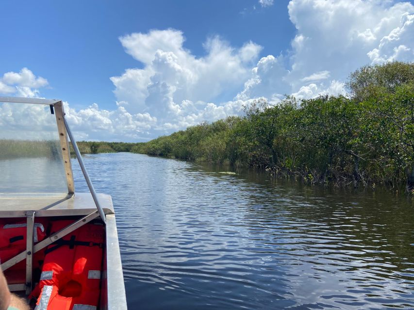 Miami: Half-Day Everglades Tour - Tour Highlights