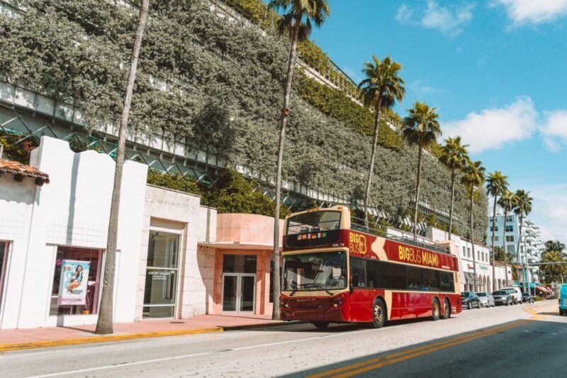 Miami: Hop-on Hop-off Open-top Bus Tour and Optional Cruise - The Sum Up