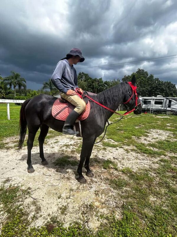 Miami: Horseback Riding Tour with Instructor - What to Expect from the Miami Horseback Riding Tour  