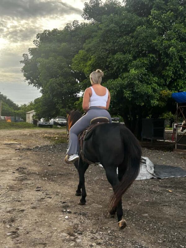 Miami: Horseback Riding Tour with Instructor - The Good and the Not-So-Good  