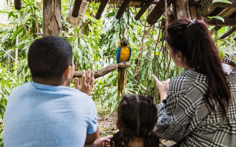 Miami: Jungle Island General Admission - What Makes Jungle Island Stand Out