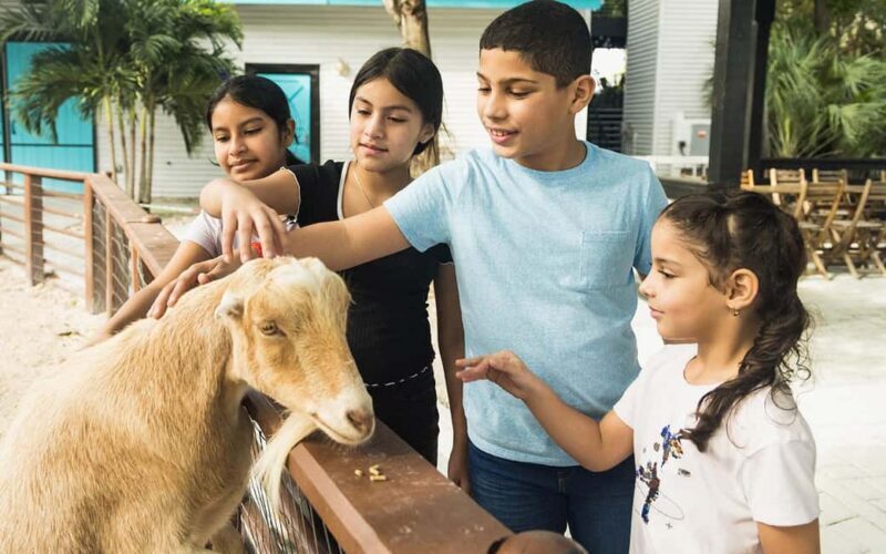 Miami: Jungle Island General Admission - What Visitors Say