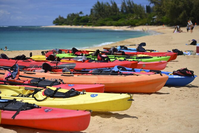 Miami Kayak Sunset Biscayne Bay Tour Review - Questions About Your Stay