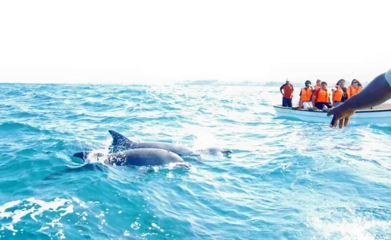 Miami: Key West Day Trip with pickup and boating options - Free Exploration Time in Key West