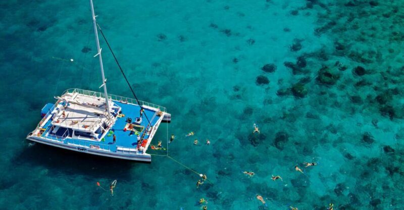 Miami: Key West Day Trip with pickup and boating options - What Reviewers Say