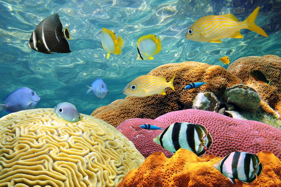 Miami: Key West Snorkeling Day Trip With Open Bar - Transportation Details