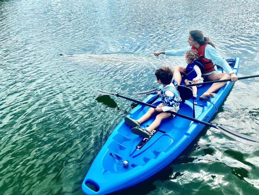 Miami: Manatee Season Tour Paddleboard or Kayak Tour - Key Points