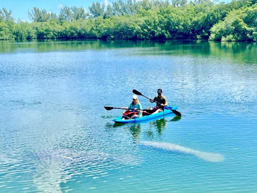 Miami: Manatee Season Tour Paddleboard or Kayak Tour - Paddle Options and Inclusions