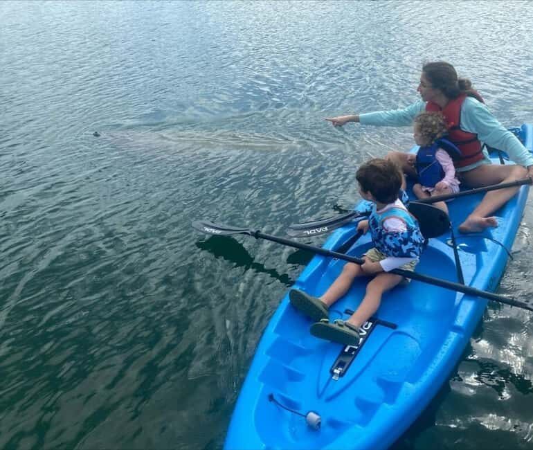 Miami: Paddle Board or Kayak Rental - PADL Beach Club - FAQ