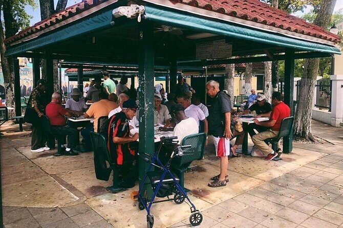 Miami Private City Tour Explore Emblematic Neighborhoods - A Deep Dive into the Miami Private City Tour