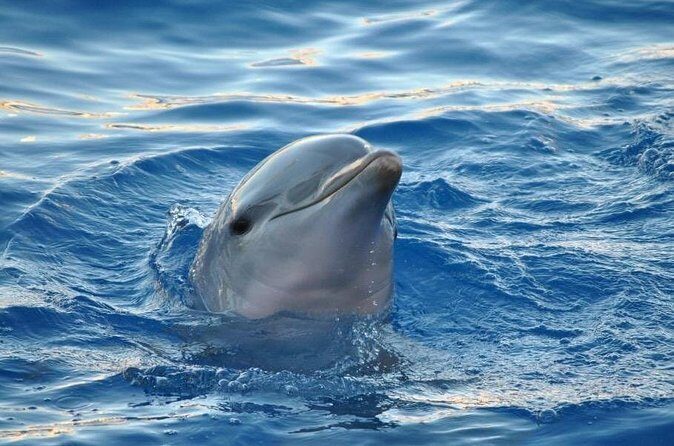 Miami: Private Golden Hour Cruise - Practical Considerations