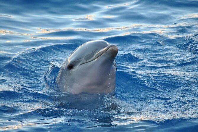 Miami: Private Golden Hour Cruise - Authentic Insights from Others