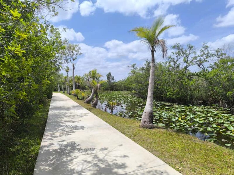 Miami: Private tour of the Everglades in French in a convertible Mustang - Real-World Experience & Traveler Feedback
