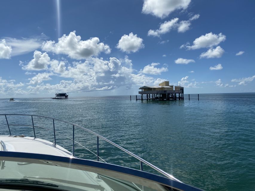 Miami: Private Yacht Rental Tour With Champagne and Snorkel - Tour Highlights