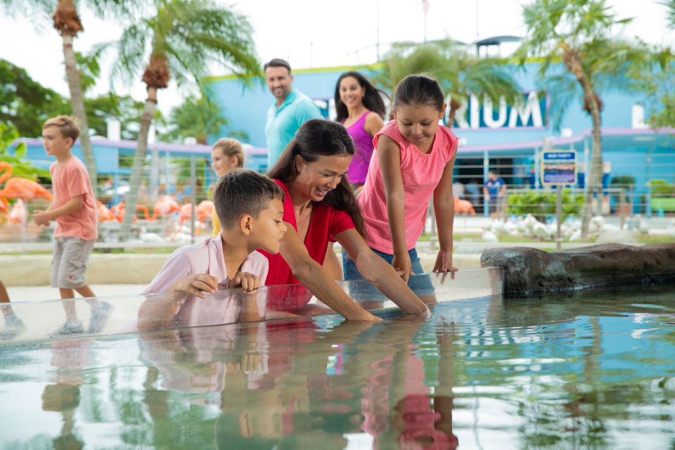 Miami: Seaquarium Entrance Ticket With Dolphin Encounter - Key Points