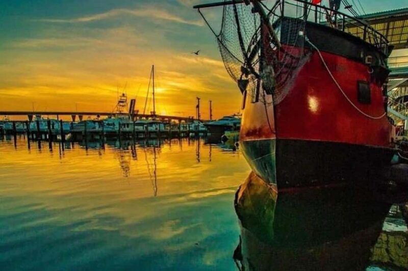 Miami: Skyline & Millionaire's Homes Pirate Boat Cruise - Miami: Skyline & Millionaires Homes Pirate Boat Cruise — A Detailed Look