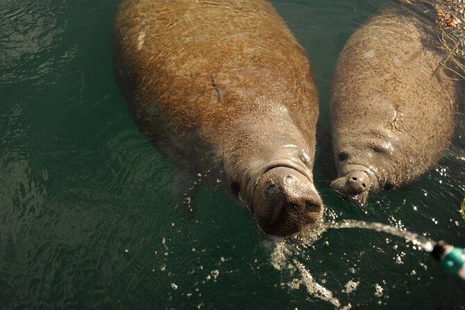 Miami Small Group Boat Tour: History, Wildlife, and Stiltsville - Weather and Safety Considerations