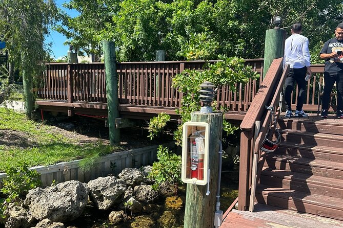 Miami: Small Group Snorkeling on Pontoon Boat From Sunny Isles - Accessibility Information