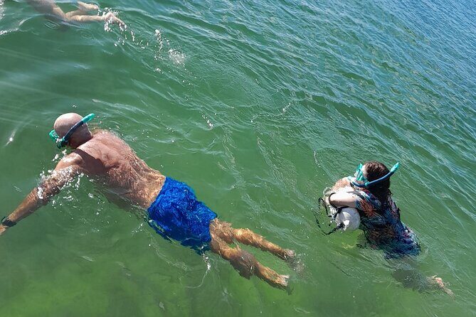 Miami: Snorkel adventure & Sandbar Trip - The Itinerary: What to Expect from Start to Finish