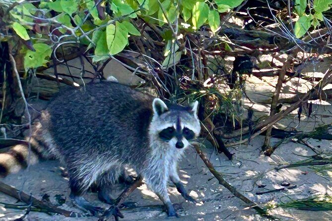 Miami: Sunset Boat Charter Cruise in a Formula Thunderbird - Value and Pricing