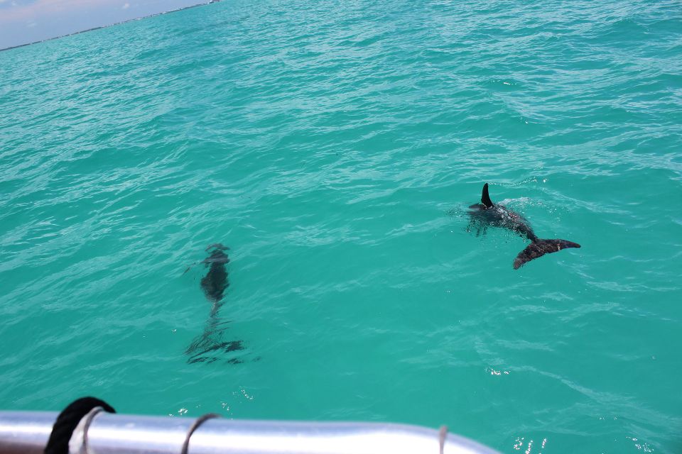 Miami to Key West Shuttle: Dolphin, Snorkeling & More - Key West Highlights and Attractions