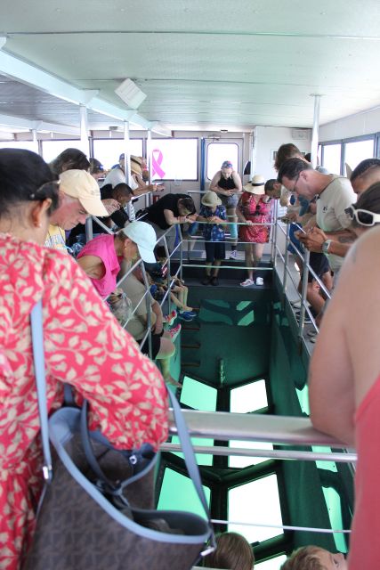 Miami to Key West Shuttle: Dolphin, Snorkeling & More - Shuttle Transportation and Amenities
