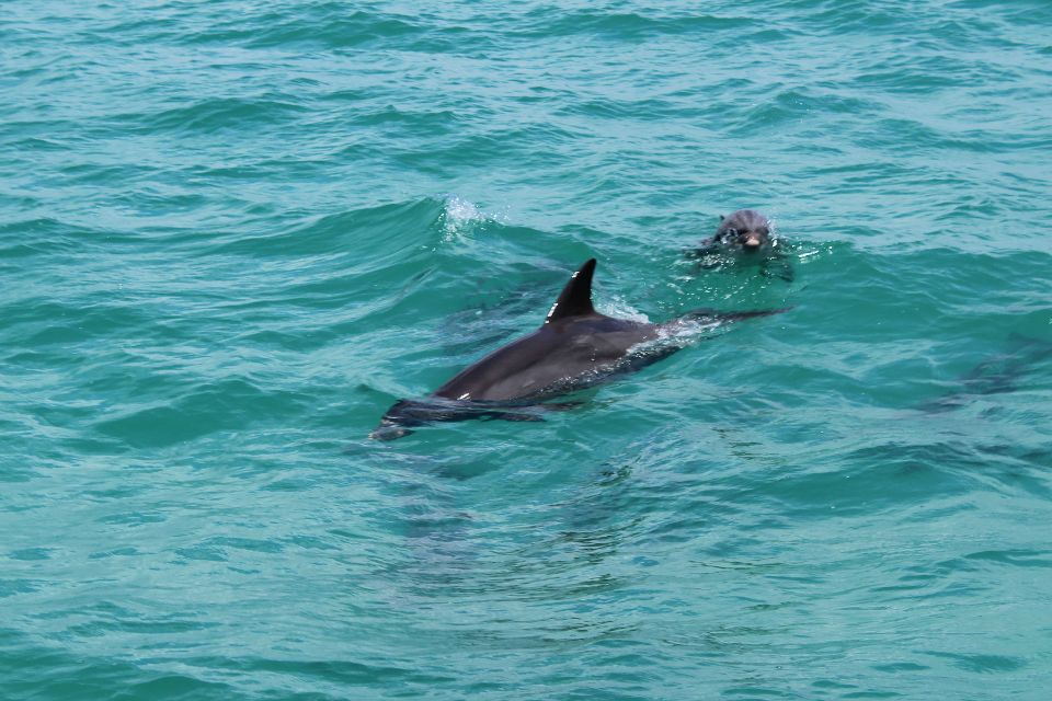 Miami to Key West Shuttle: Dolphin, Snorkeling & More - Jet Skiing in Key West