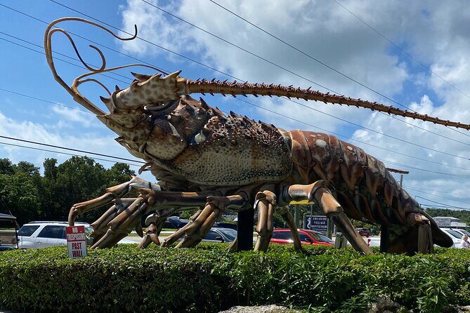 Miami to Key West with Islamorada Hop-Off + 6 Hours in Key West - Key Points