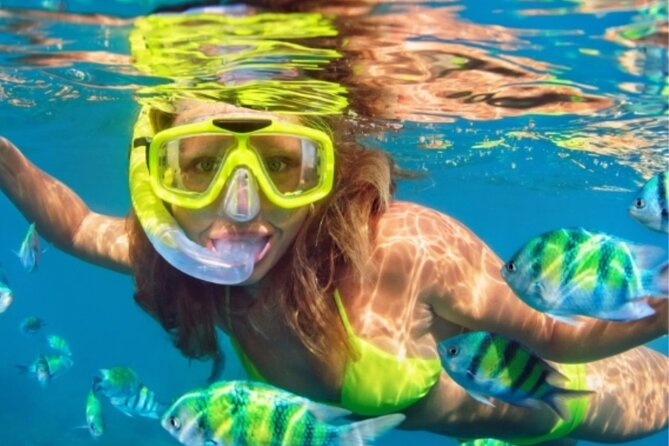Miami Water Tour With Water Activities Included Ocean Playground - Tips for a Great Experience