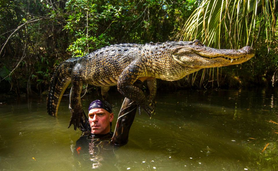 Miami: Wild Everglades Airboat Ride and Gator Encounters - Highlights