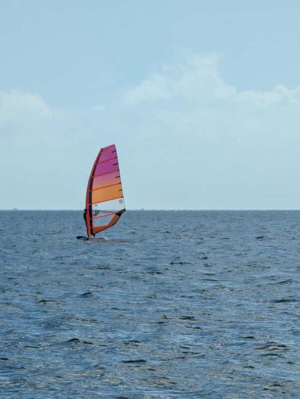 Miami: Windsurfing Experience at Hobie Beach - An In-Depth Look at the Windsurfing Adventure
