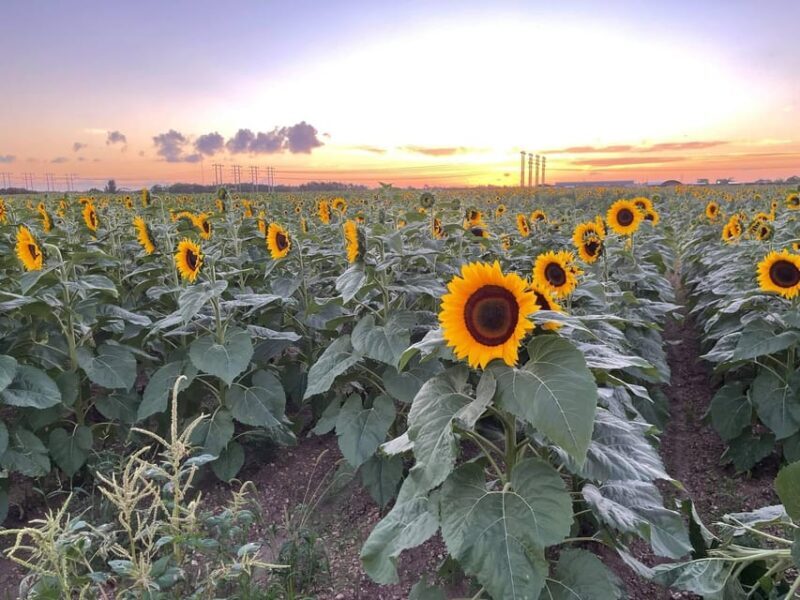Miami's Ultimate ATV Adventure- Free Passenger & Safety Gear - What’s Not Included & Practical Tips