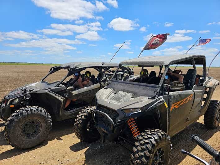 Miami's Ultimate Buggy Adventure on a Polaris RZR UTV - Key Points