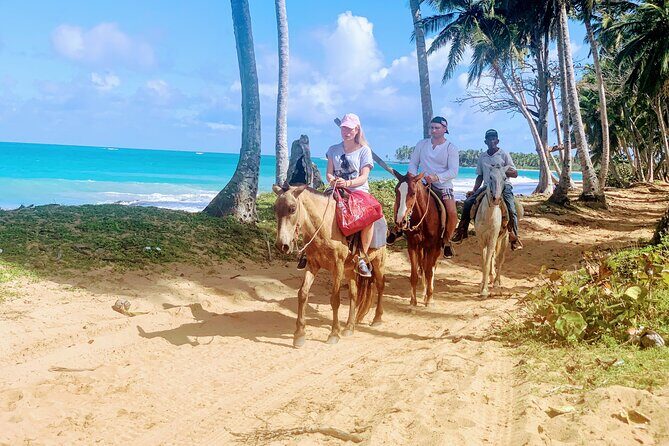 Miches Beach Horseback Riding - An In-Depth Look at Miches Beach Horseback Riding